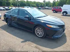 4T1F11AK5LU905596 2020 TOYOTA CAMRY