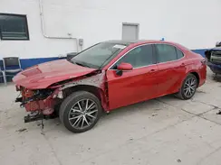 4T1F11AK5PU116628 2023 TOYOTA CAMRY