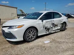4T1F11AK5PU131355 2023 TOYOTA CAMRY