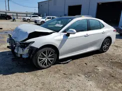 4T1F11AK5RU190442 2024 TOYOTA CAMRY