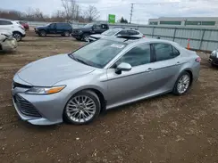 4T1F11AK8LU986951 2020 TOYOTA CAMRY