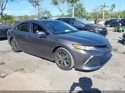 4T1F11AK8PU719556 2023 TOYOTA CAMRY