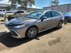 4T1F11AK8PU728290 2023 TOYOTA CAMRY