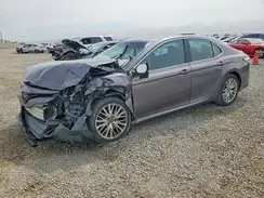 4T1F11AK9LU917315 2020 TOYOTA CAMRY