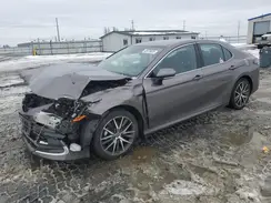 4T1F11AK9PU124764 2023 TOYOTA CAMRY