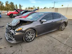4T1F11AK9PU781015 2023 TOYOTA CAMRY