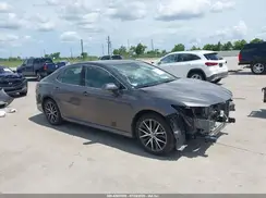 4T1F11AK9PU816510 2023 TOYOTA CAMRY
