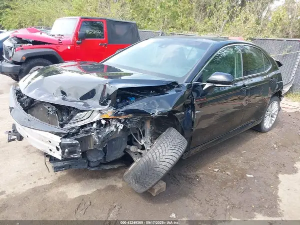 4T1F11AKXLU923365 2020 TOYOTA CAMRY - Image 2