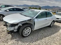 4T1F11AKXLU979130 2020 TOYOTA CAMRY