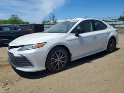4T1F11BK0PU075260 2023 TOYOTA CAMRY