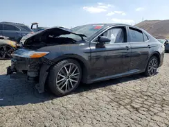 4T1F11BK1PU099003 2023 TOYOTA CAMRY