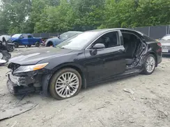 4T1F11BK3LU014043 2020 TOYOTA CAMRY