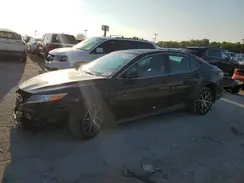 4T1F11BK3PU106341 2023 TOYOTA CAMRY
