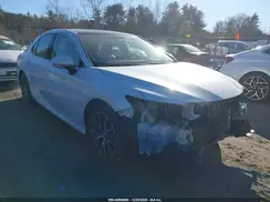 4T1F11BK6PU087834 2023 TOYOTA CAMRY