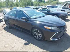 4T1F11BK6PU105541 2023 TOYOTA CAMRY