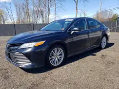 4T1F11BK7LU007323 2020 TOYOTA CAMRY