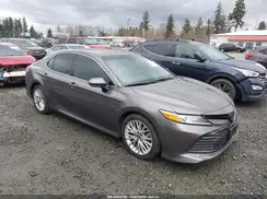 4T1F11BK7LU011906 2020 TOYOTA CAMRY