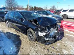 4T1F11BK8PU100308 2023 TOYOTA CAMRY