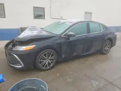 4T1F11BK8PU103791 2023 TOYOTA CAMRY