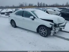 4T1F11BK9PU098942 2023 TOYOTA CAMRY