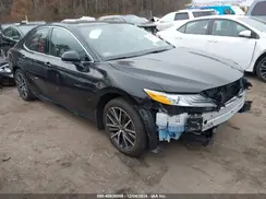 4T1F11BKXMU039636 2021 TOYOTA CAMRY