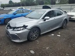 4T1F11BKXPU076979 2023 TOYOTA CAMRY