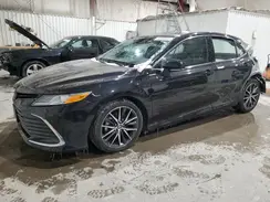 4T1F11BKXPU102237 2023 TOYOTA CAMRY
