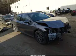 4T1F11BKXRU117419 2024 TOYOTA CAMRY