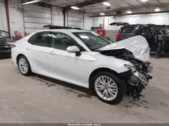 4T1F31AK0LU519484 2020 TOYOTA CAMRY