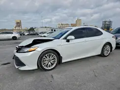 4T1F31AK0LU522336 2020 TOYOTA CAMRY
