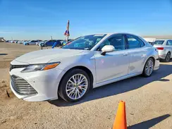 4T1F31AK0LU525818 2020 TOYOTA CAMRY