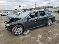 4T1F31AK0LU528766 2020 TOYOTA CAMRY