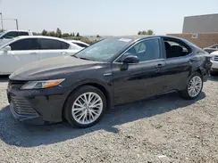4T1F31AK0LU532588 2020 TOYOTA CAMRY