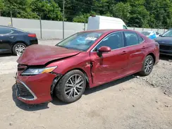 4T1F31AK0NU584631 2022 TOYOTA CAMRY