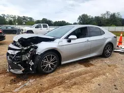 4T1F31AK0RU068386 2024 TOYOTA CAMRY