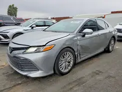 4T1F31AK1LU012299 2020 TOYOTA CAMRY