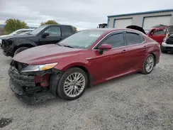 4T1F31AK1LU019527 2020 TOYOTA CAMRY
