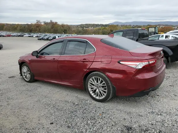 4T1F31AK1LU019527 2020 TOYOTA CAMRY - Image 2