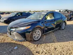 4T1F31AK1LU521129 2020 TOYOTA CAMRY