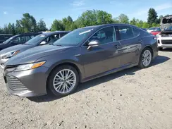 4T1F31AK1LU528842 2020 TOYOTA CAMRY