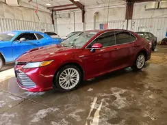 4T1F31AK1LU529294 2020 TOYOTA CAMRY