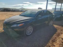 4T1F31AK1LU529442 2020 TOYOTA CAMRY