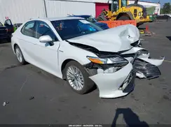 4T1F31AK1LU541672 2020 TOYOTA CAMRY