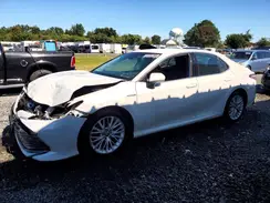 4T1F31AK1LU543924 2020 TOYOTA CAMRY