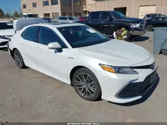 4T1F31AK1MU022459 2021 TOYOTA CAMRY