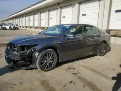 4T1F31AK1MU556108 2021 TOYOTA CAMRY