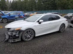 4T1F31AK1MU568856 2021 TOYOTA CAMRY