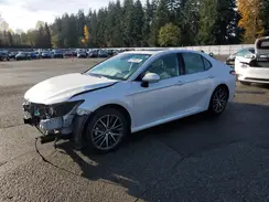 4T1F31AK1PU599142 2023 TOYOTA CAMRY