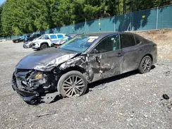 4T1F31AK1PU601956 2023 TOYOTA CAMRY