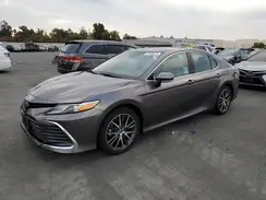 4T1F31AK1PU611970 2023 TOYOTA CAMRY